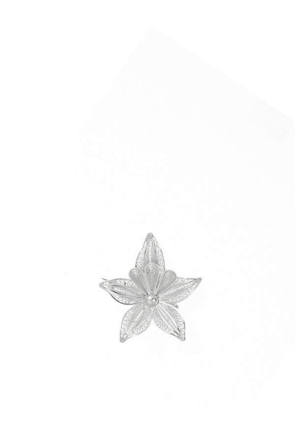 Star Pin