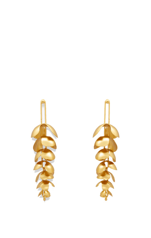 Earrings Obaz
